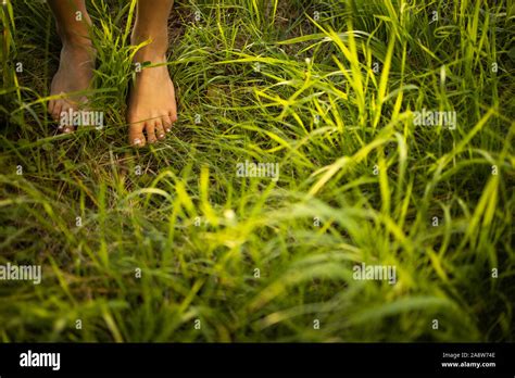 nude nature|3,704 Naturism Stock Photos and High